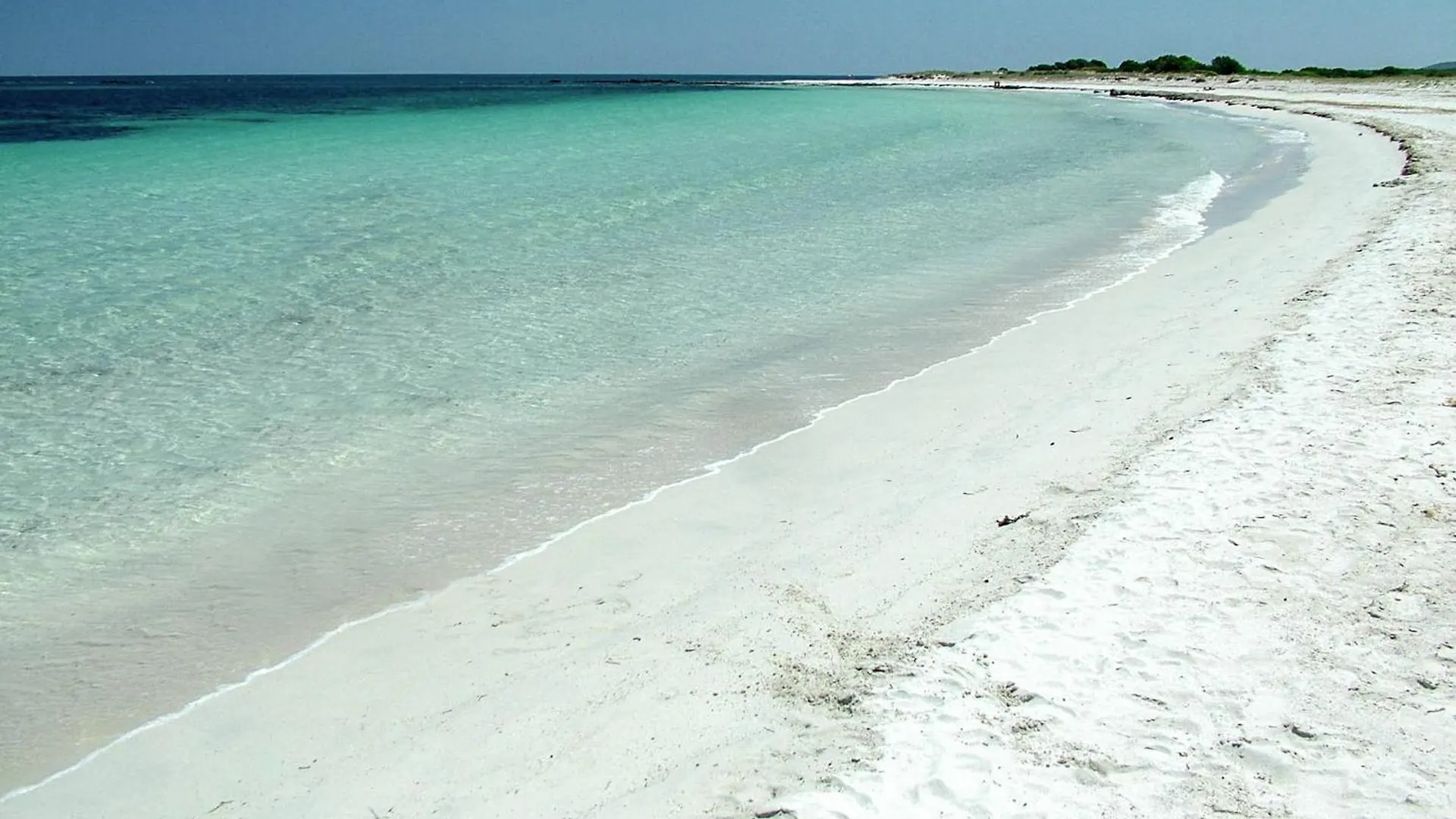 Casa Mambo contacts